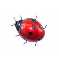 Ladybird Wall Art